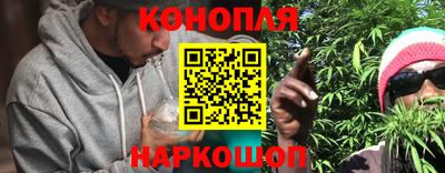 прущие грибы Комсомольск-на-Амуре