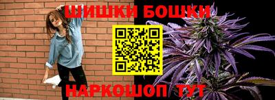 прущие грибы Комсомольск-на-Амуре