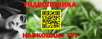 прущие грибы Комсомольск-на-Амуре