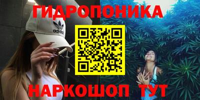 прущие грибы Комсомольск-на-Амуре