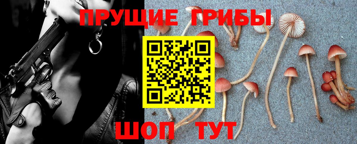 Коряжма  Псилоцибиновые грибы Cubensis  наркошоп  Вход с VPN 